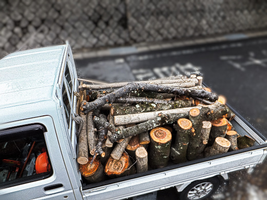 軽トラックに玉切りした木を積み込みました