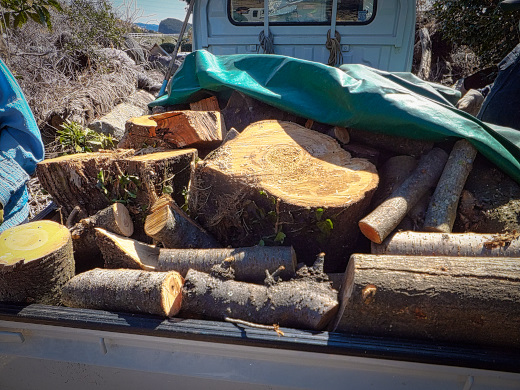 車いっぱいに積み込んだ木