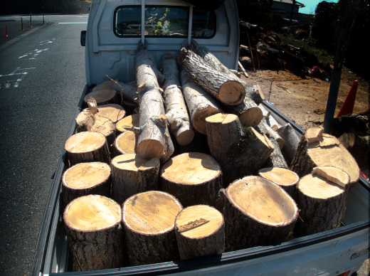 軽トラック満載の木