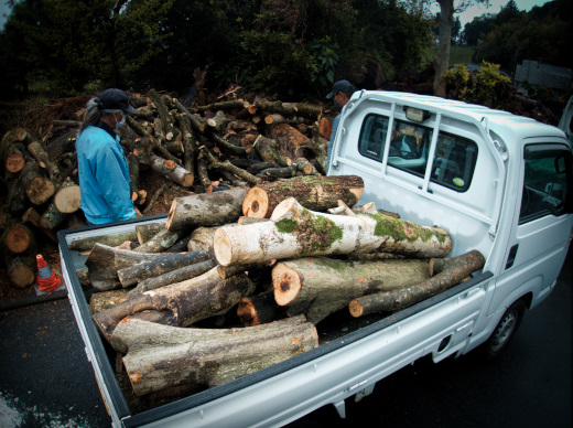 木を沢山積んだ軽トラック