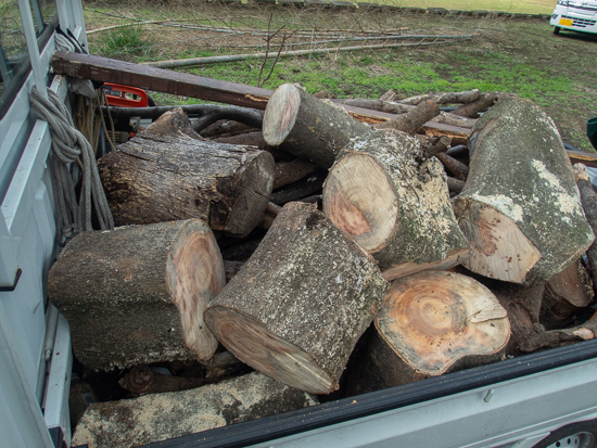 軽トラックに積んだ木